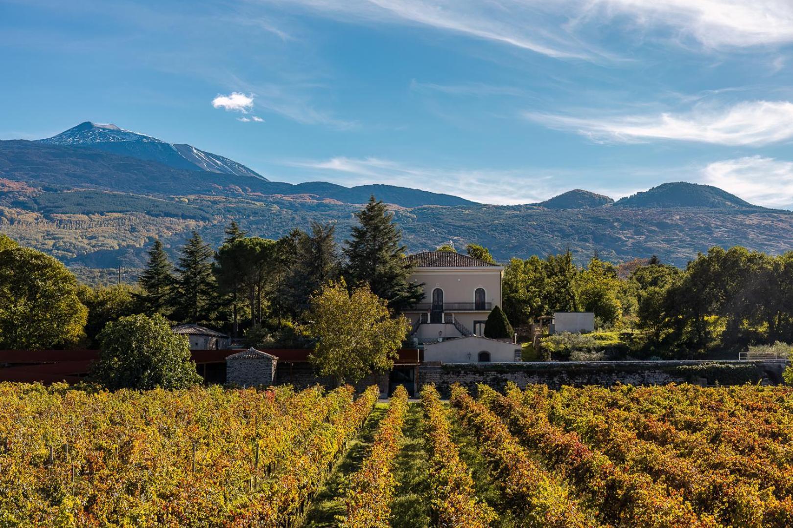 Campore Etna Wines And Resort Randazzo Eksteriør billede